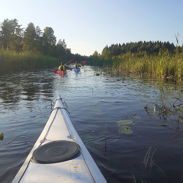 Kajakkien vuokraus Kangasniemellä Kajakkien vuokraus Kangasniemellä